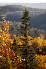Autumn in Redbridge Northern Ontario