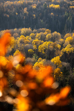 Autumn in Redbridge Northern Ontario