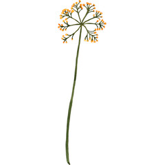 Watercolor Brench Wedding Branch Frame Rustic Floral