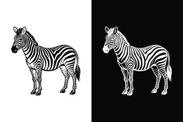 Zebra vector illustration silhouette vector icon design on white background.