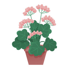 Potted plant with pink flowers and green leaves in a terra cotta pot set against a white background. Ideal for gardening themes, botanical discussions, home d cor, plant care guides, and educational