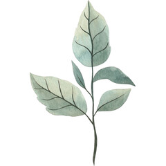 Watercolor Brench Wedding Branch Frame Rustic Floral