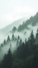 Fototapeta premium Autumn mountains shrouded in fog, with golden and red leaves on the trees, perfect for tranquil and reflective stock landscape photography.