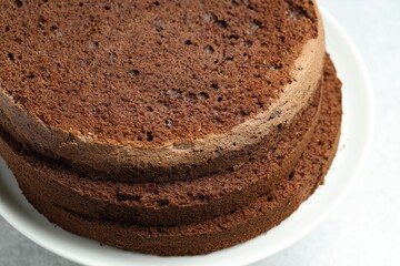 Cut chocolate sponge cake on light table, closeup