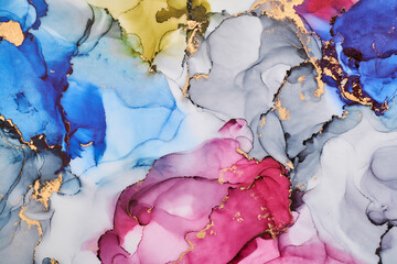 Obraz premium Current of translucent hues intertwine with metallic gold veins, shaping organic luxurious landscape. This fluid art, abstract liquid ink technique, light and shadow dance across free-flowing textures
