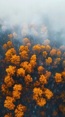 Fototapeta premium Foggy autumn mountains with vibrant fall colors, mist covering the peaks and trees, creating a peaceful and serene landscape for stock visuals. Misty autumn mountain range with colorful fall foliage, 