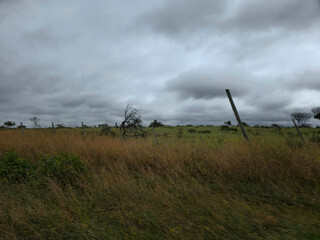 Seascape in the vicinity of Tongoy, Coquimbo