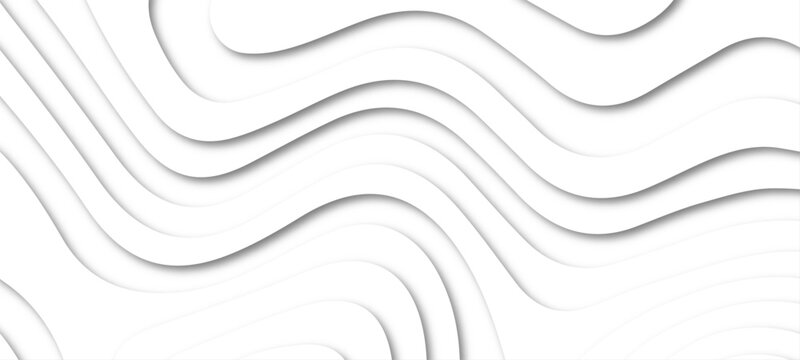 White Abstract Wavy Paper Cut Background, Monographic map the stylized height of the topographic contour