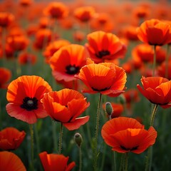 Obraz premium Minimalist doctor icon with white lab coat and stethoscope in flat design style