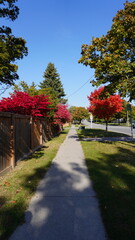 Fall Season in Whitby Canada