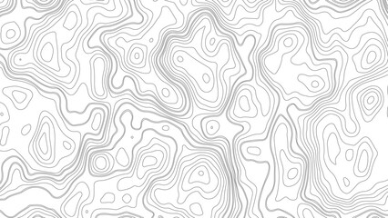 Topographic map. Geographic mountain relief. Abstract lines background. Contour maps. Vector illustration, Modern design with White background with topographic wavy pattern