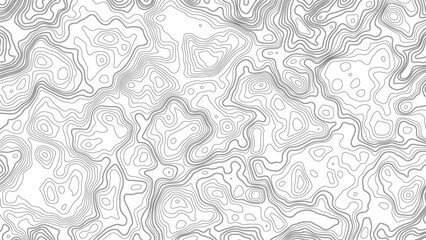 Topographic map. Geographic mountain relief. Abstract lines background. Contour maps. Vector illustration, Modern design with White background with topographic wavy pattern