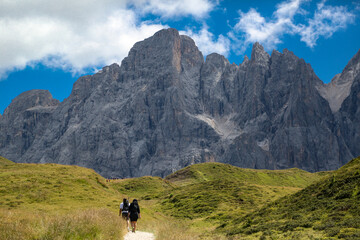 Dolomite chain, Val di Fiemme, walks and mountain view