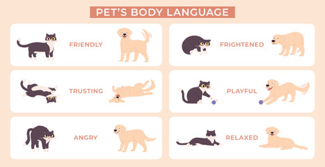 Animal language. Dog and cat body expression poses. Pets in various emotional pose for educational poster. Animals emotions racy vector banner © LadadikArt