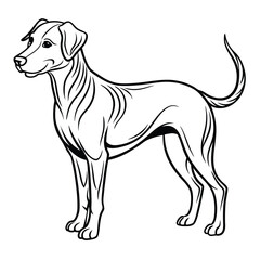 dog vector silhouette vector with a white background