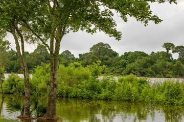 Obraz premium Oyster Creek Park in Sugar Land, Texas, USA