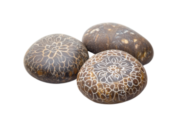 Elegant decorative stones with intricate floral patterns, perfect for home and garden decor,,Isolated on transparent background
