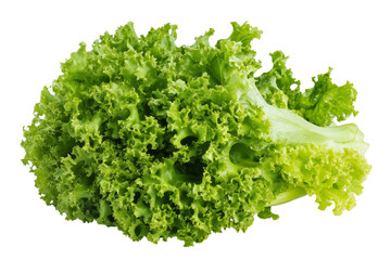 Obraz premium Fresh green lettuce, , showcasing its crisp leaves and vibrant color,Isolated on transparent background