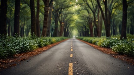 Obraz premium A long, straight paved road lined with trees leading to a distant point in the forest.