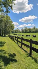 Picturesque cattle farm with cows grazing on lush meadows, blue sky dotted with white clouds, wooden fences running along the pastures