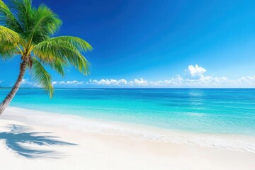 Panorama banner photo of idyllic tropical beach with palm tree