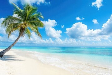 Panorama banner photo of idyllic tropical beach with palm tree
