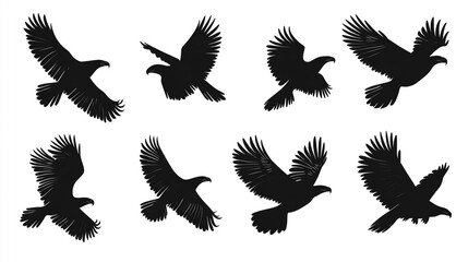 Eagle Silhouette Set   Flying Bird Clipart Illustration