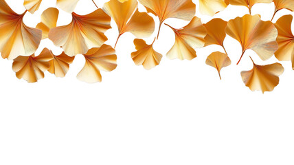 paper cut golden ginkgo leaves arranged on a transparent  background, featuring a refined origami floral décor