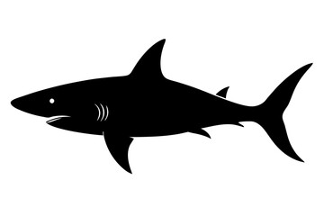 Shark Silhouette vector illustration