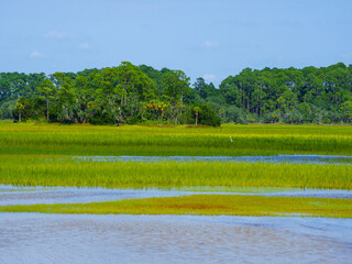 Low Country Marsh