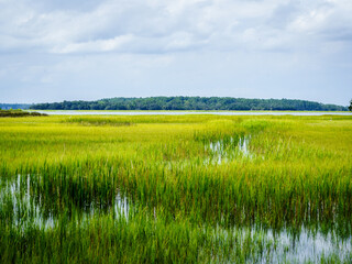 Low Country Marsh