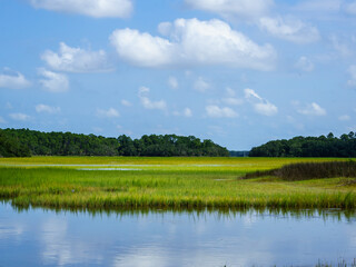 Low Country Marsh