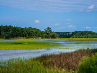 Low Country Marsh