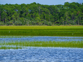 Low Country Marsh