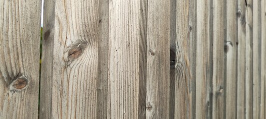 Horizontal white and grey wood background, autumn theme