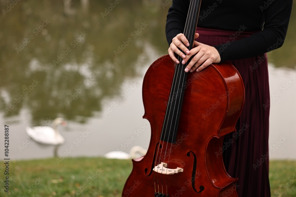 Wall mural Woman with cello in park, closeup. Space for text