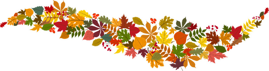 Yellow Leaves Vector Transparent Background. Beautiful Foliage Illustration. Golden Realistic Floral Template. Tree Design.