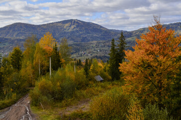 mountain trail, autumn in the mountains, autumn Carpathians, mountain view, Ukraine