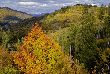 Obraz premium mountain view, autumn in the mountains, panorama, mountain peaks, Ukrainian Carpathians