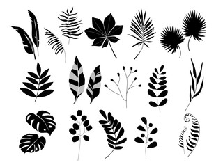 Set of monochrome abstract silhouettes of plants, leaves, branches. Vector graphics.