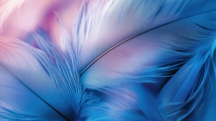 Obraz premium Feathers closeup calm spiritual background symbol of hope connection for peaceful faith design creative banner