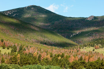 Obraz premium Mid-July morning overhead clouds partially shade the surrounding mountains around the Upper Beaver Meadows area of Rocky Mountain National Park, Colorado. 