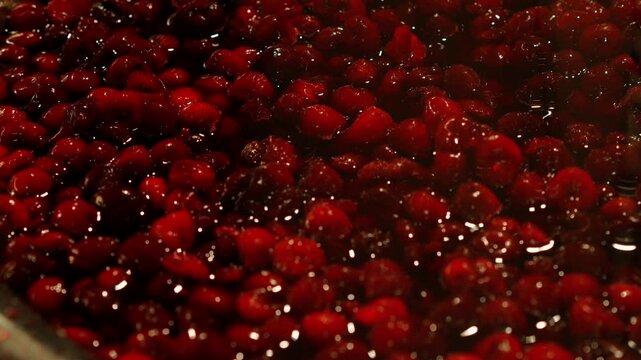 Cherry syrup.
Cherry compote in a large container.
Fresh fruit syrup.
Fruits in a bowl.
Cherry, fruit, container, jam, syrup, jam