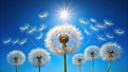 Obraz premium Dandelion seeds drifting in a clear blue sky
