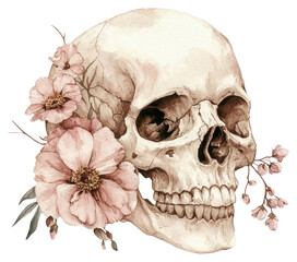 Obraz premium PNG An ancient greek Skull with flowers art illustrated drawing.