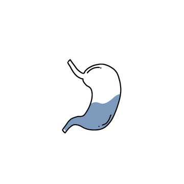 recommend clip art: human stomach organ vector isolated