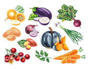 Watercolor set featuring pumpkin, cherry tomatoes, eggplant, onion, potatoes, and turnip. The vegetables are arranged individually and in small groups, perfect for food packaging, recipe illustrations