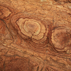 Volcanic rock found on the Banks Peninsula, New Zealand.
