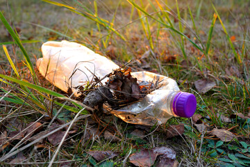 Plastic bottle thrown away in forest. Garbage in nature, reusable products. Rubbish thrown in forest. PET Plastic water bottle thrown out in nature. Waste in nature. Abandoned pet garbage waste.