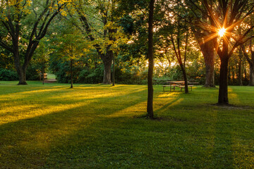 Naklejka premium Sunstar shoots through the maple trees in the late August evening, as the shadows diagonally cross the picnic area of the Pike Lake Unit, Kettle Moraine State Forest, Hartford, Wisconsin